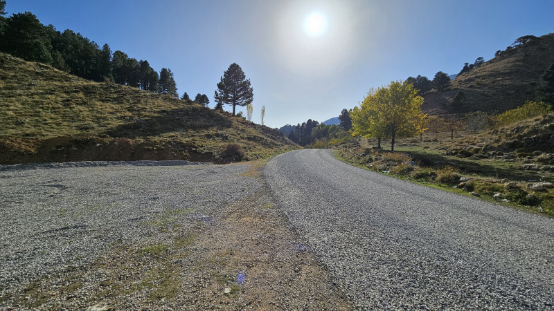 land_camroad2_1.jpg land_camroad2_1.jpg