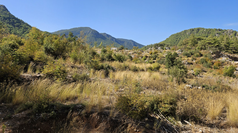 land_kizil2.jpg land_kizil2.jpg